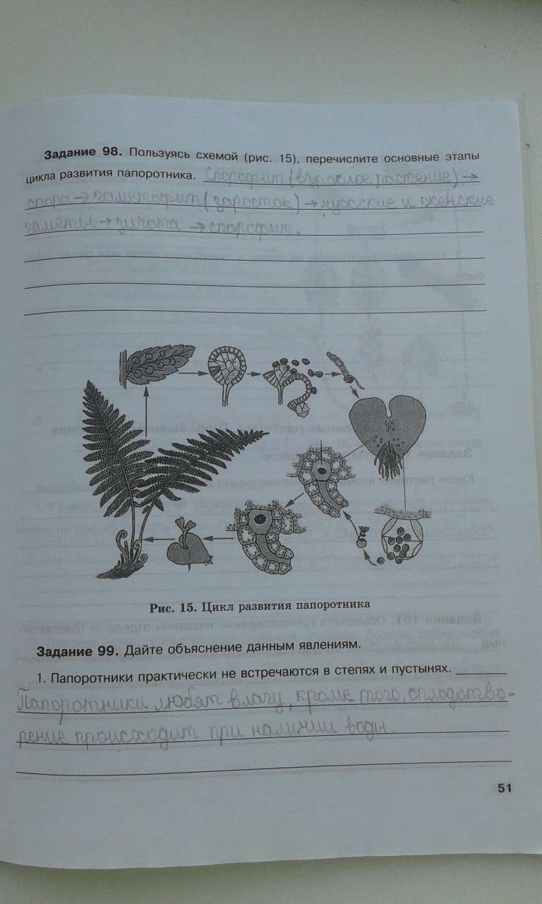 гдз 6 класс рабочая тетрадь страница 51 биология Хрыпова, Житко