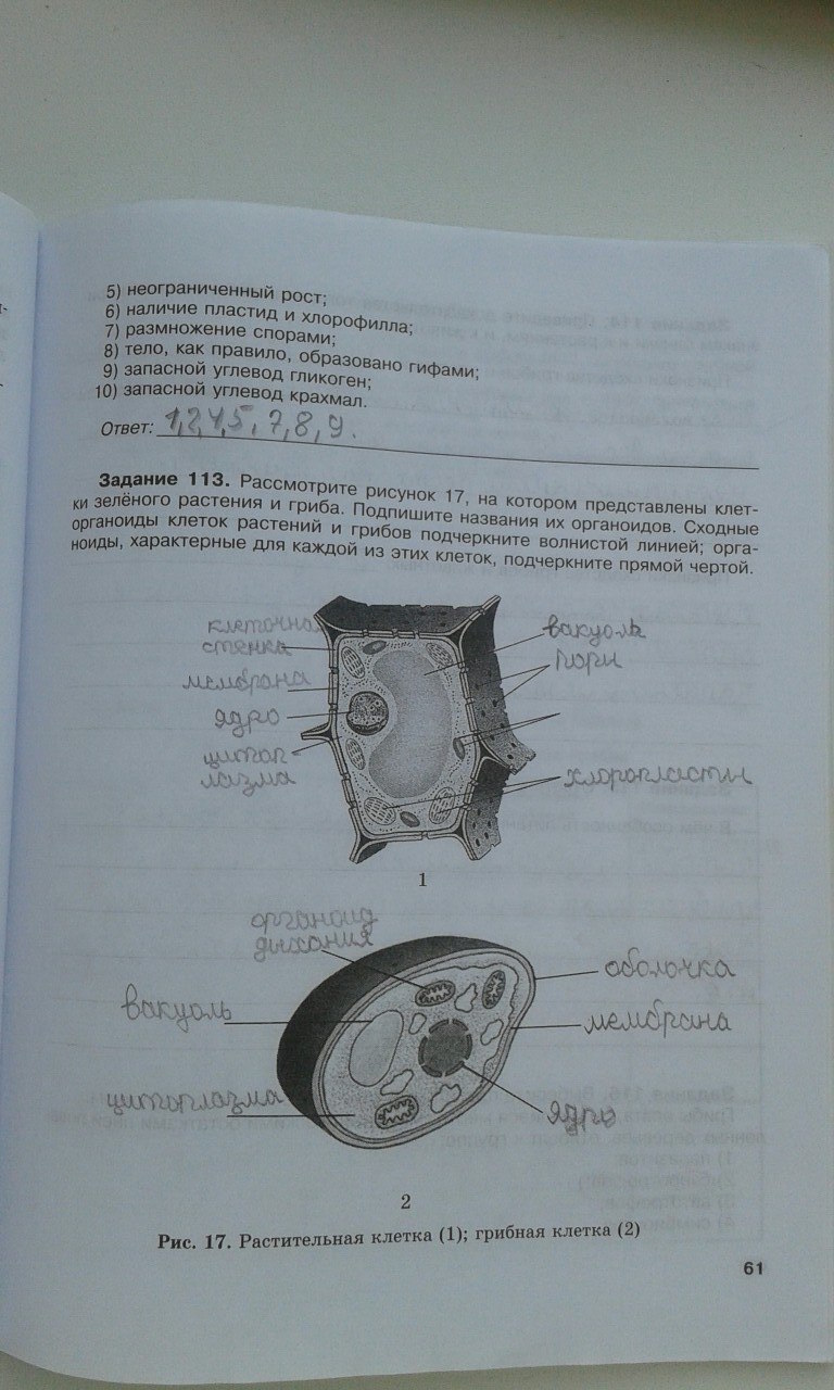 гдз 6 класс рабочая тетрадь страница 61 биология Хрыпова, Житко