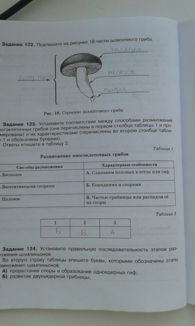 гдз 6 класс рабочая тетрадь страница 66 биология Хрыпова, Житко