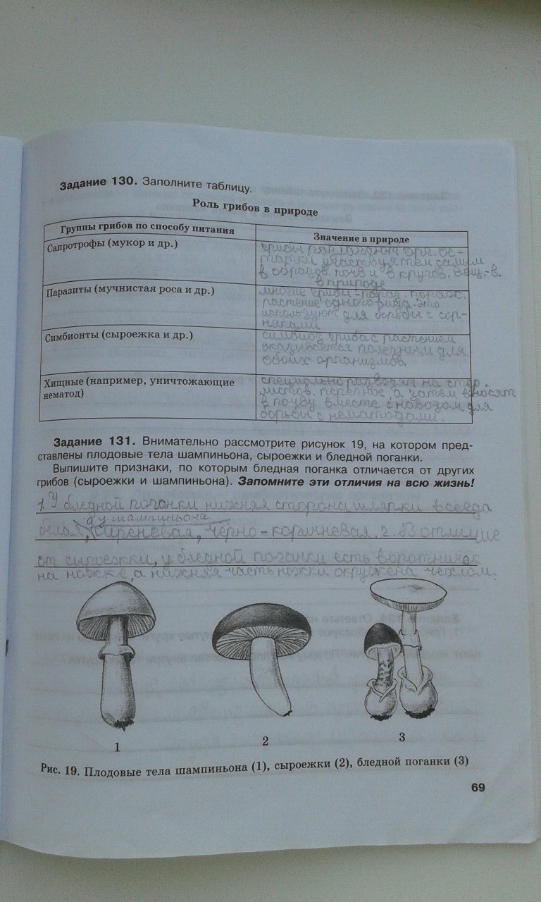 гдз 6 класс рабочая тетрадь страница 69 биология Хрыпова, Житко