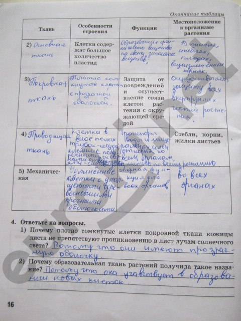 гдз 6 класс рабочая тетрадь страница 16 биология Исаева, Романова