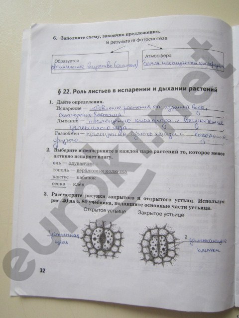 гдз 6 класс рабочая тетрадь страница 32 биология Исаева, Романова