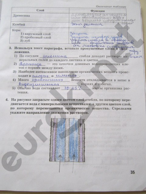 гдз 6 класс рабочая тетрадь страница 35 биология Исаева, Романова