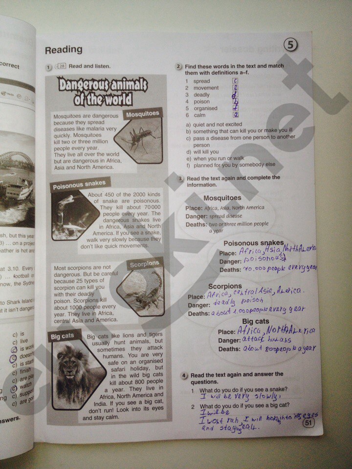 гдз 6 класс рабочая тетрадь страница 51 английский язык Комарова, Ларионова