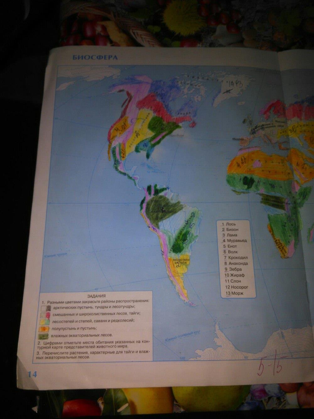 гдз 6 класс контурные карты страница 14 география Курчина