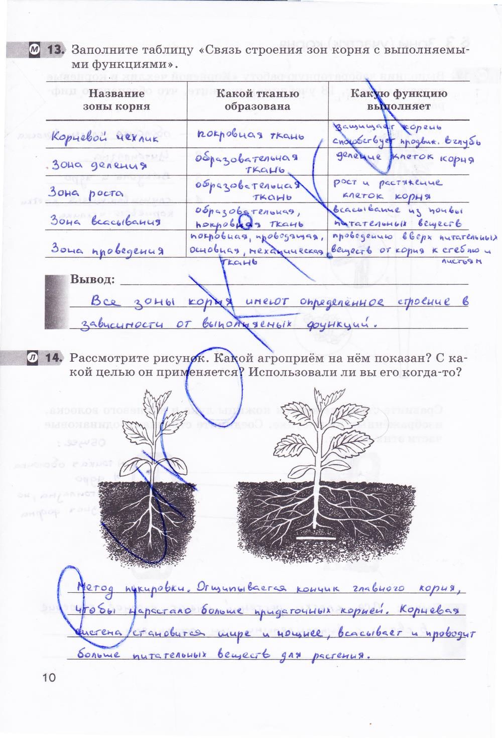 гдз 6 класс рабочая тетрадь страница 10 биология Пасечник