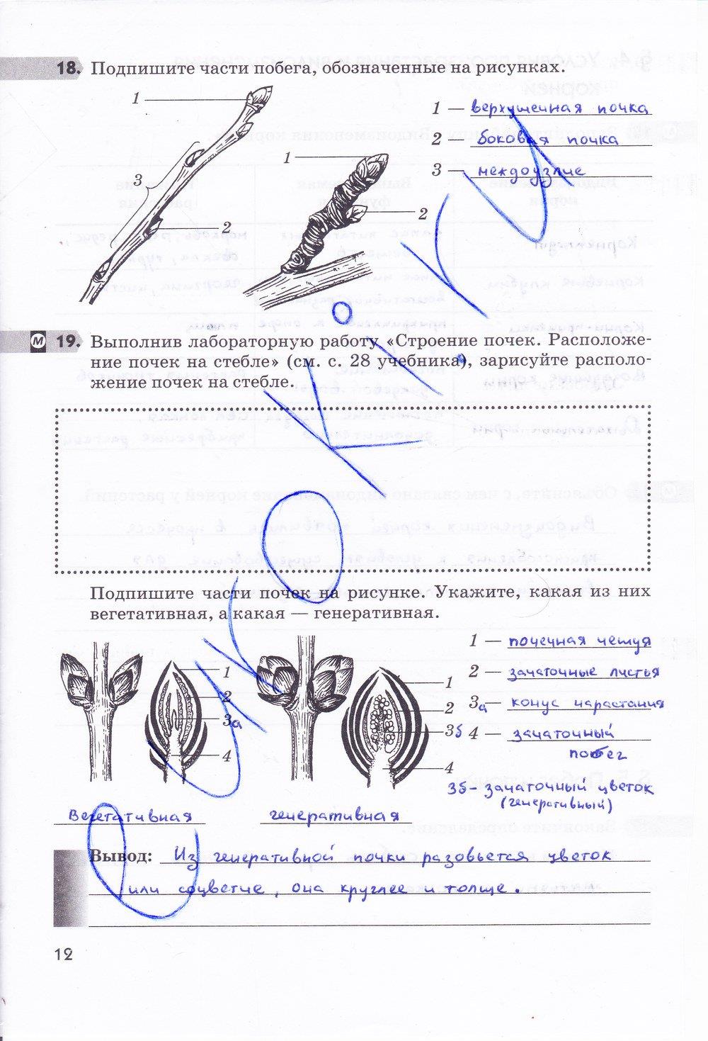 гдз 6 класс рабочая тетрадь страница 12 биология Пасечник