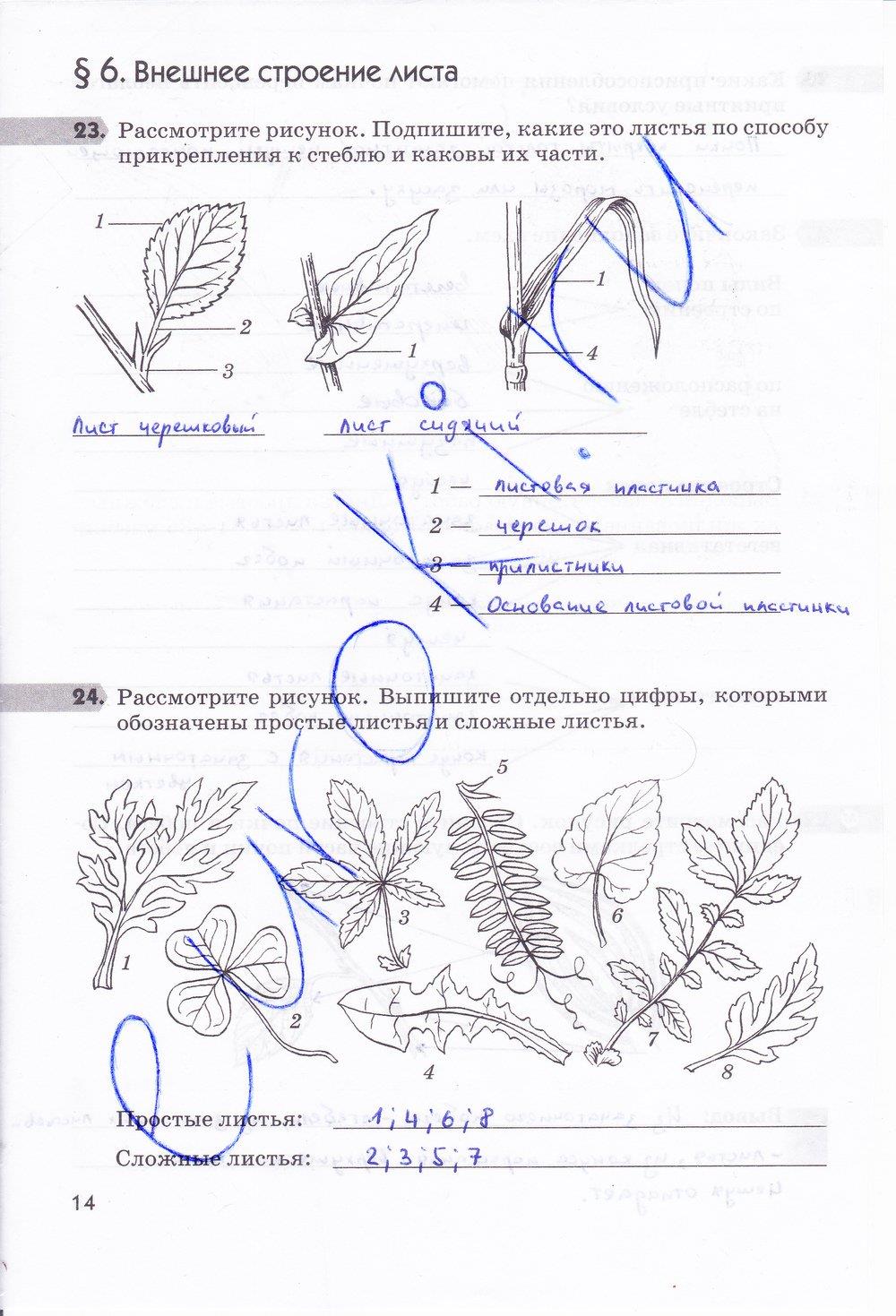 гдз 6 класс рабочая тетрадь страница 14 биология Пасечник