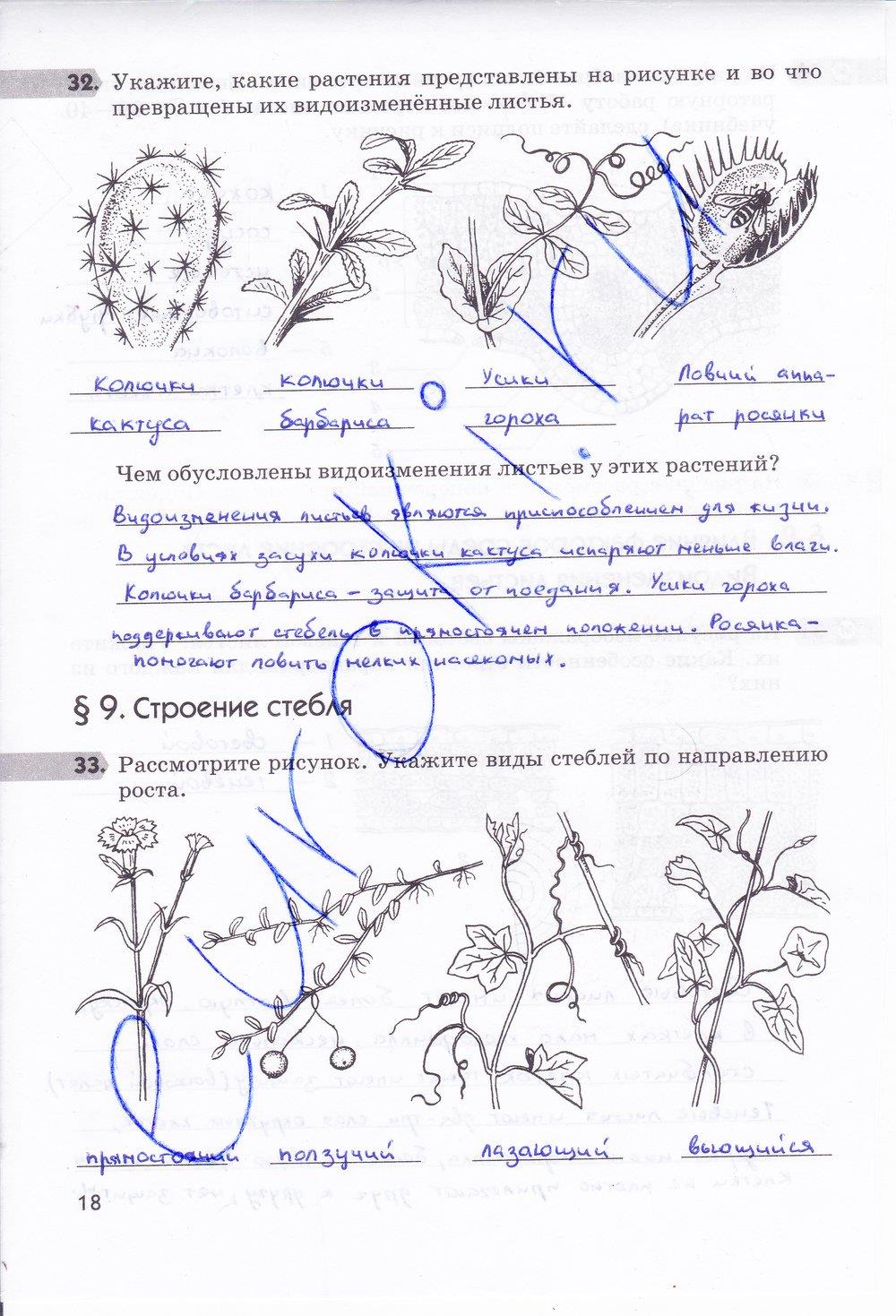 гдз 6 класс рабочая тетрадь страница 18 биология Пасечник