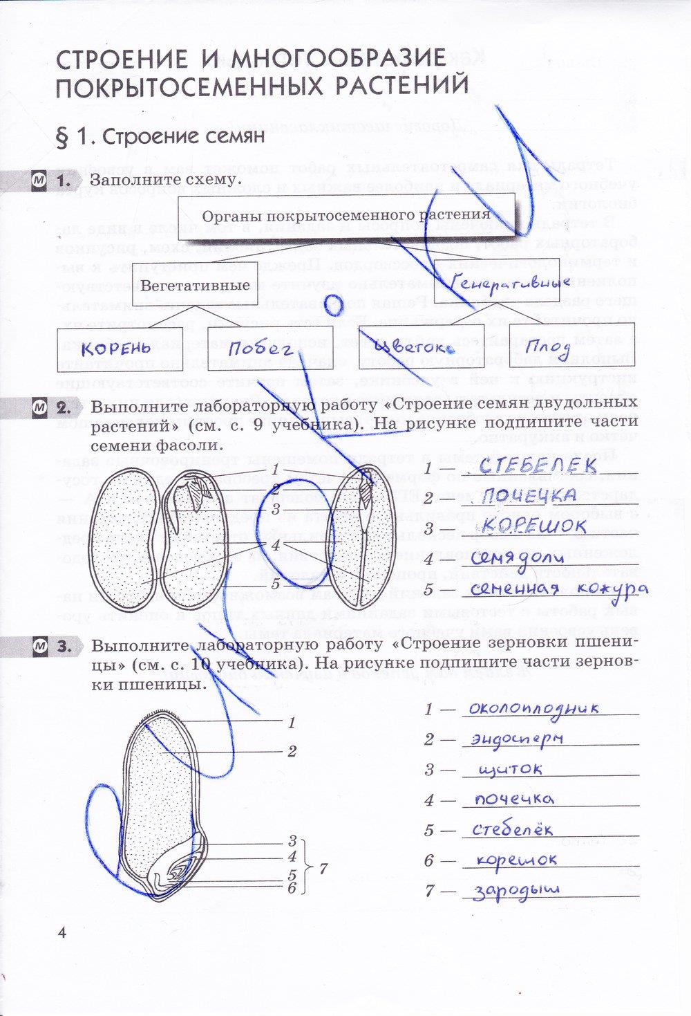 гдз 6 класс рабочая тетрадь страница 4 биология Пасечник