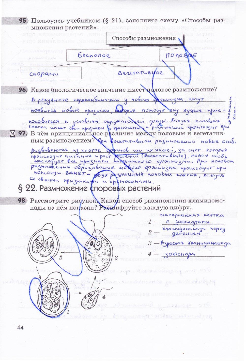 гдз 6 класс рабочая тетрадь страница 44 биология Пасечник