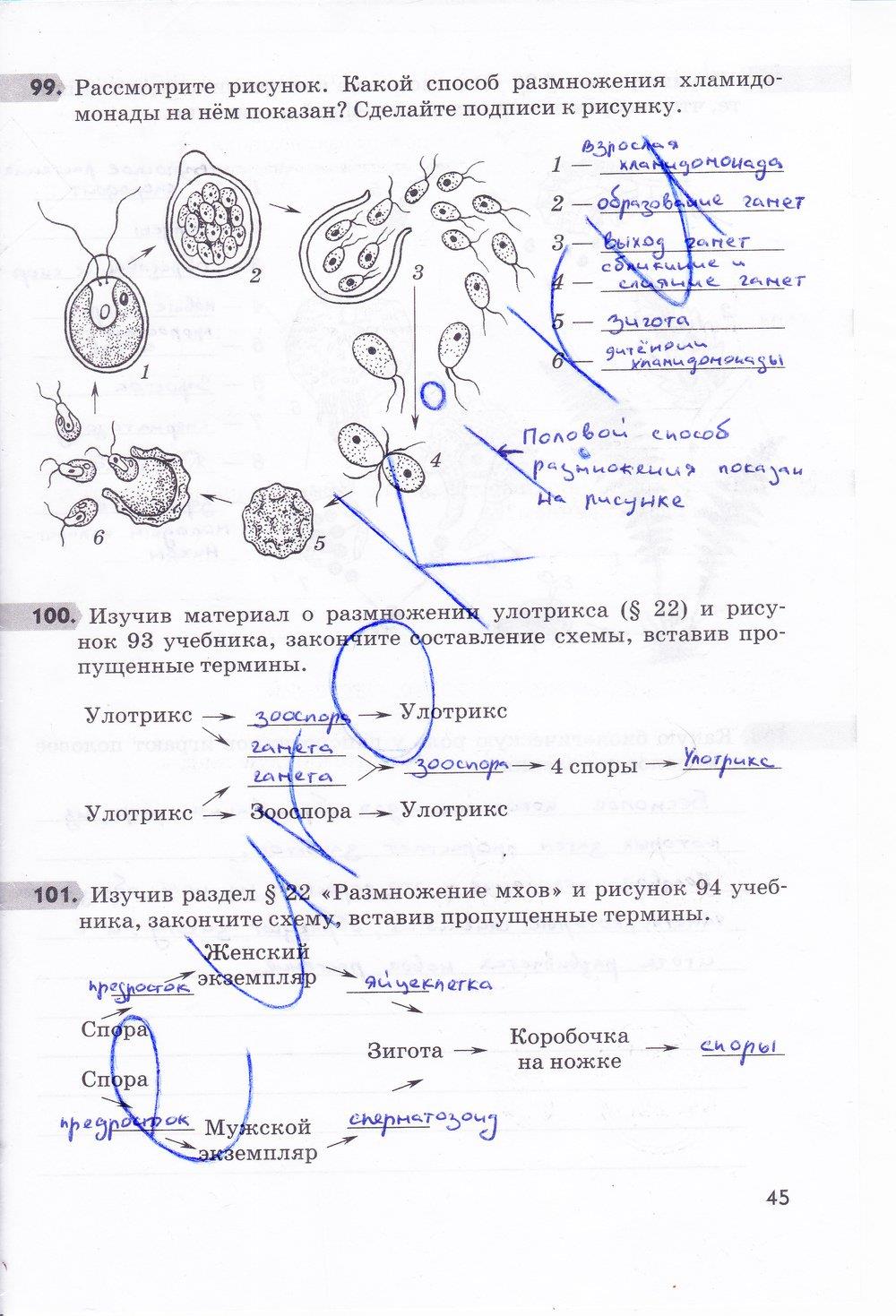 гдз 6 класс рабочая тетрадь страница 45 биология Пасечник
