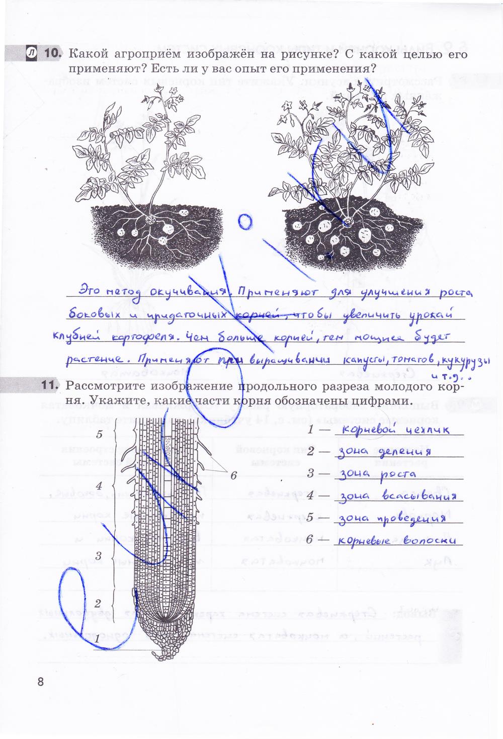 гдз 6 класс рабочая тетрадь страница 8 биология Пасечник