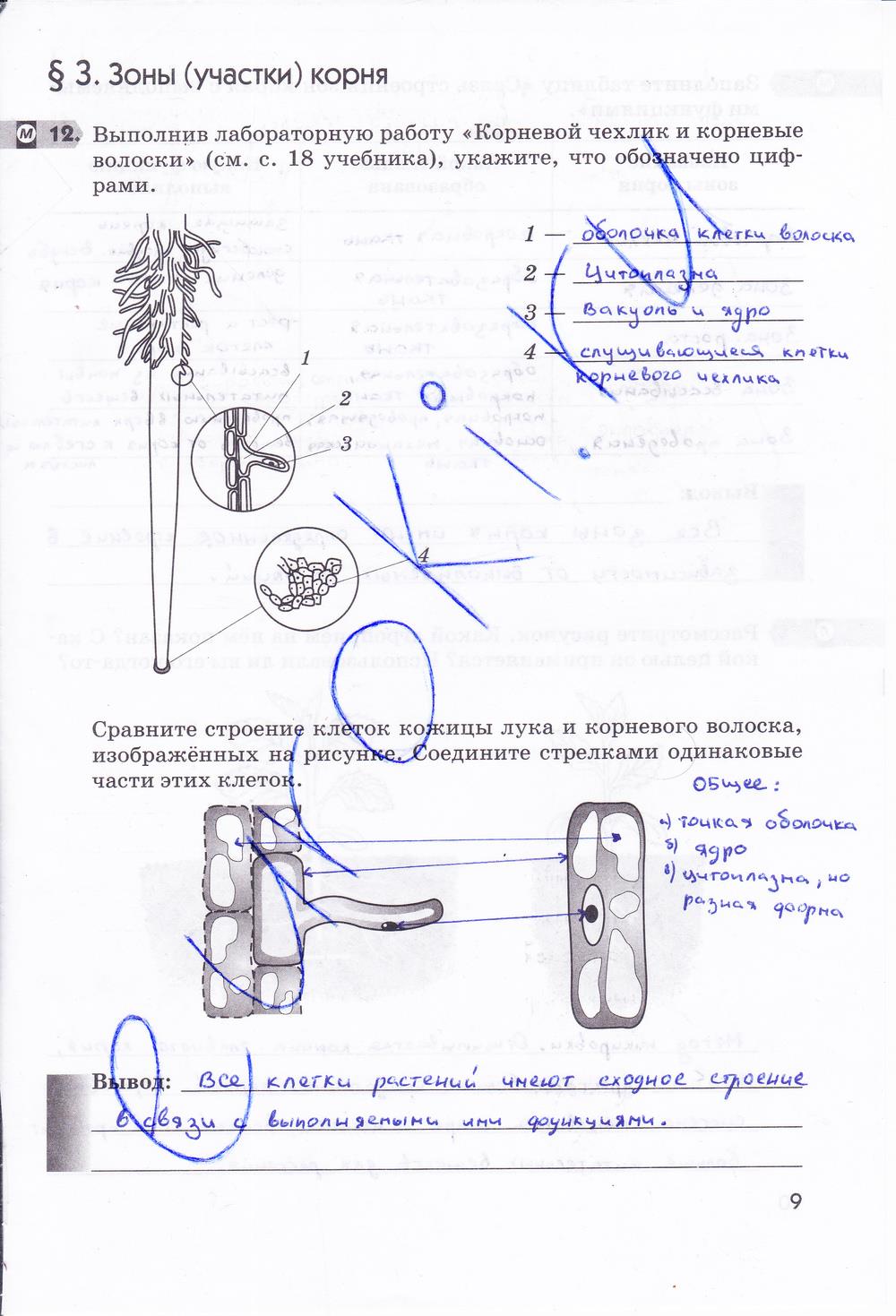 гдз 6 класс рабочая тетрадь страница 9 биология Пасечник