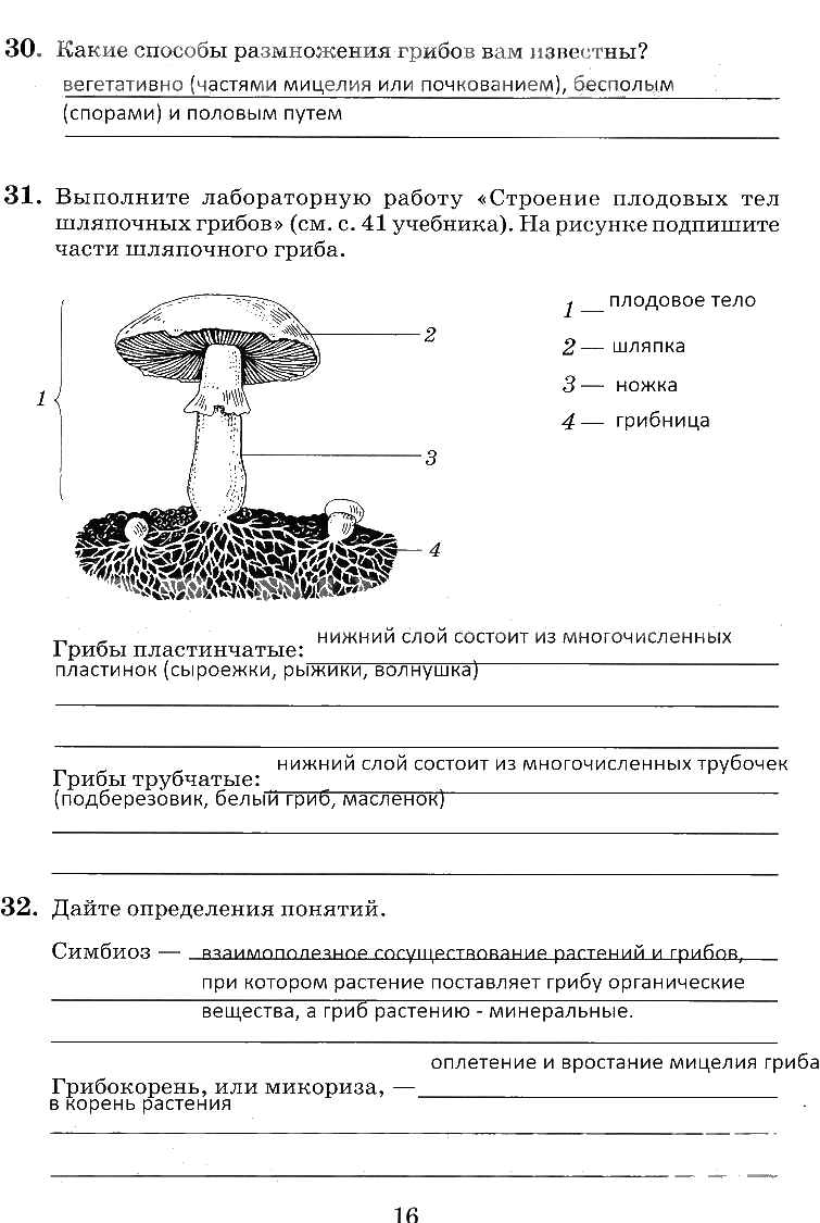 гдз 6 класс рабочая тетрадь страница 16 биология Пасечник, Снисаренко