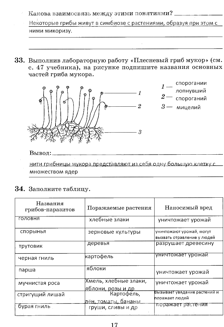 гдз 6 класс рабочая тетрадь страница 17 биология Пасечник, Снисаренко