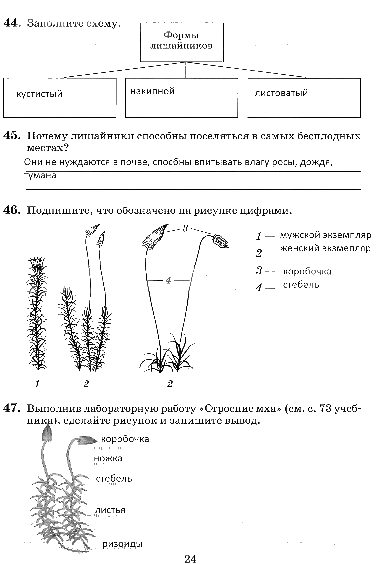 гдз 6 класс рабочая тетрадь страница 24 биология Пасечник, Снисаренко