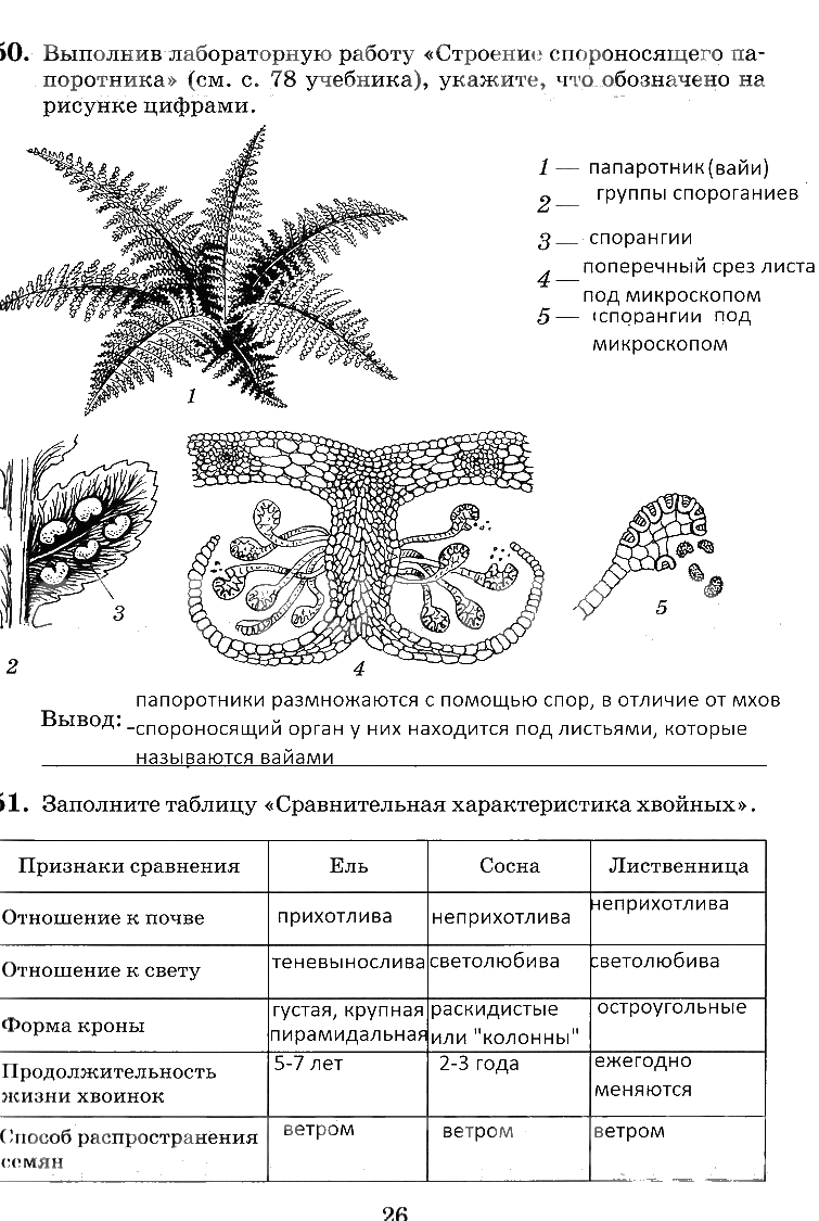 гдз 6 класс рабочая тетрадь страница 26 биология Пасечник, Снисаренко