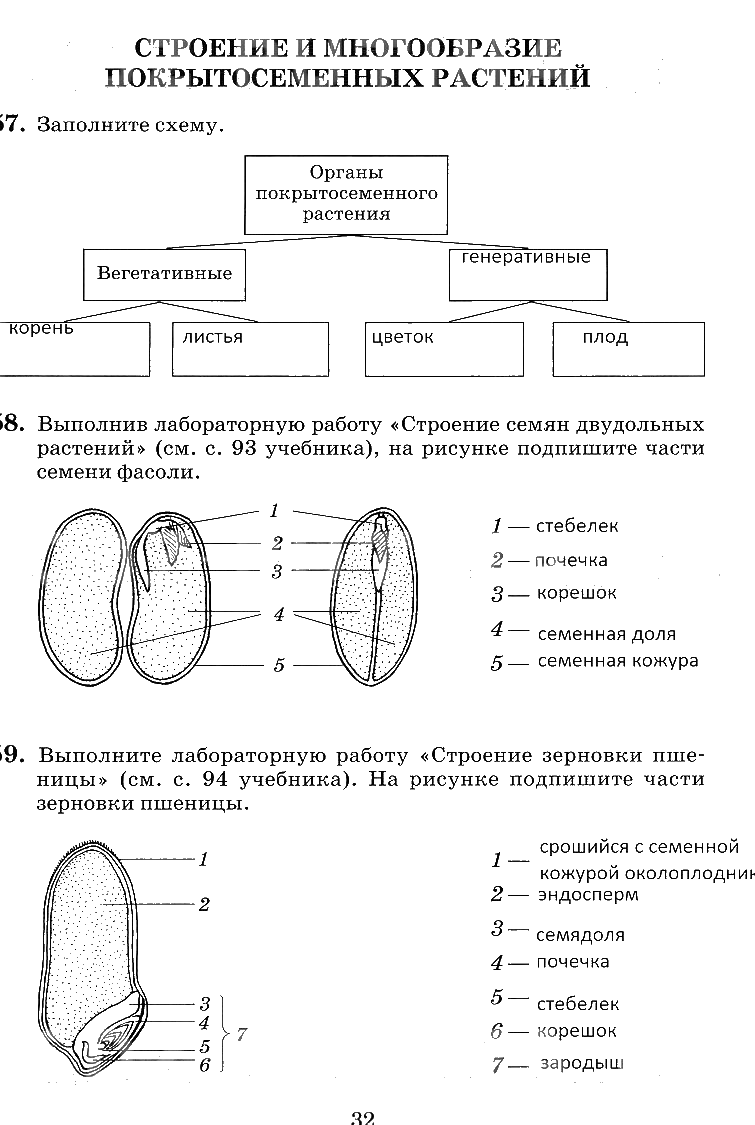 гдз 6 класс рабочая тетрадь страница 32 биология Пасечник, Снисаренко