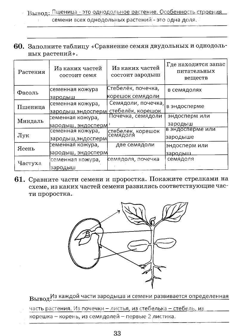гдз 6 класс рабочая тетрадь страница 33 биология Пасечник, Снисаренко