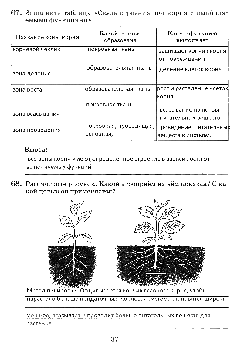 гдз 6 класс рабочая тетрадь страница 37 биология Пасечник, Снисаренко