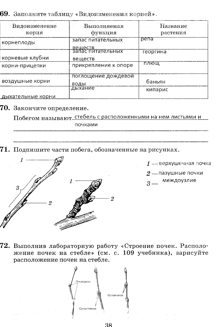 гдз 6 класс рабочая тетрадь страница 38 биология Пасечник, Снисаренко