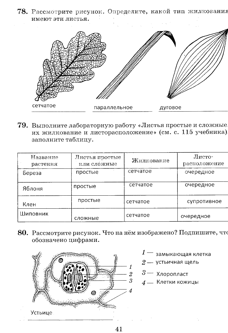 гдз 6 класс рабочая тетрадь страница 41 биология Пасечник, Снисаренко