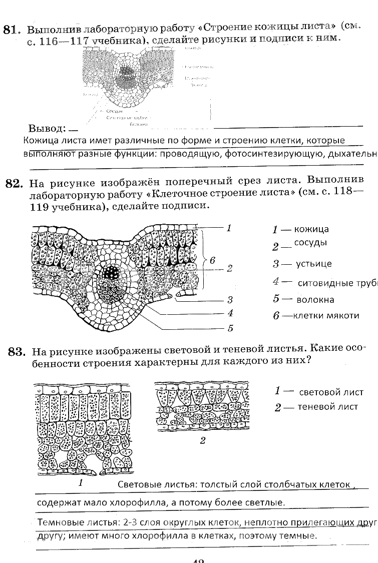 гдз 6 класс рабочая тетрадь страница 42 биология Пасечник, Снисаренко