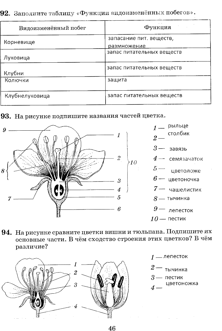 гдз 6 класс рабочая тетрадь страница 46 биология Пасечник, Снисаренко