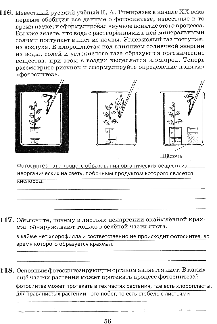 гдз 6 класс рабочая тетрадь страница 56 биология Пасечник, Снисаренко