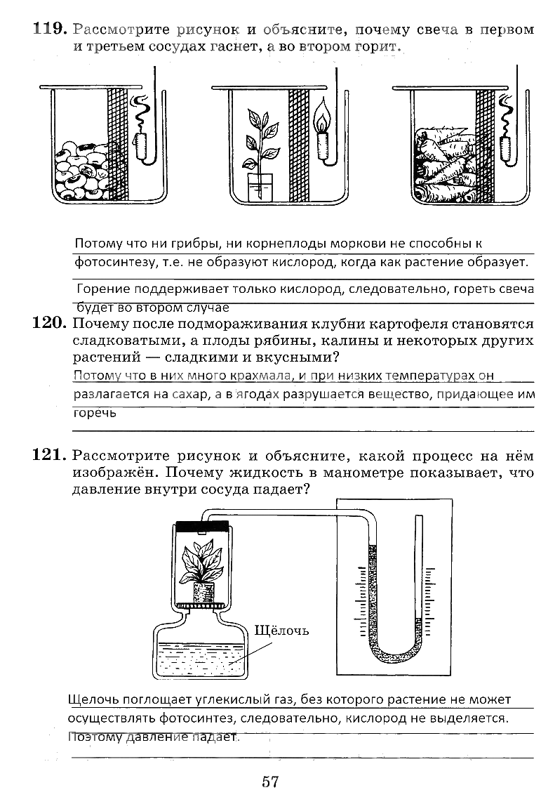 гдз 6 класс рабочая тетрадь страница 57 биология Пасечник, Снисаренко