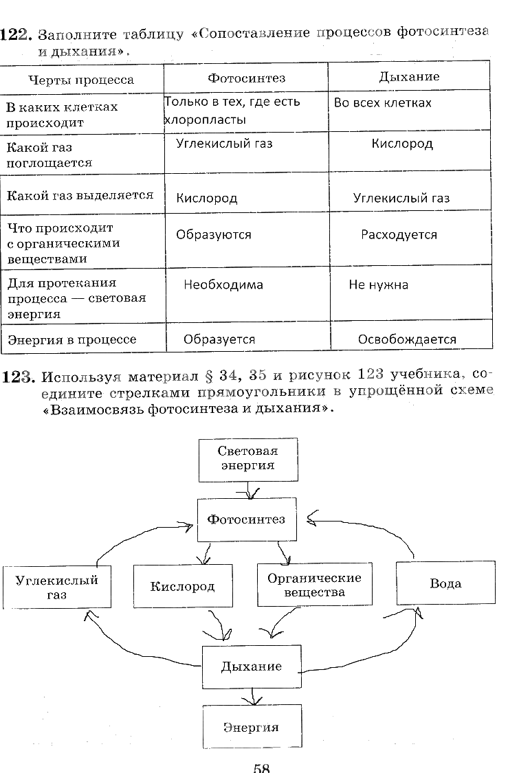 гдз 6 класс рабочая тетрадь страница 58 биология Пасечник, Снисаренко