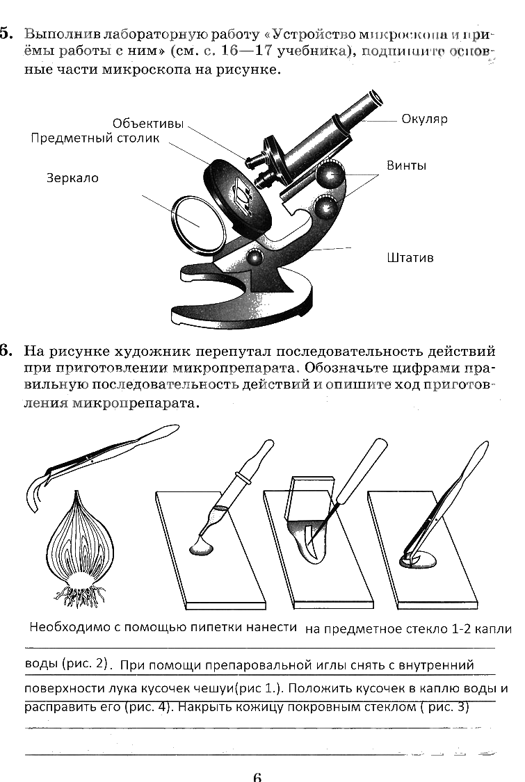 гдз 6 класс рабочая тетрадь страница 6 биология Пасечник, Снисаренко