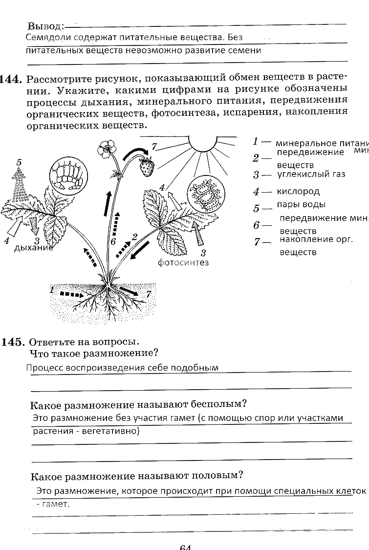 гдз 6 класс рабочая тетрадь страница 64 биология Пасечник, Снисаренко