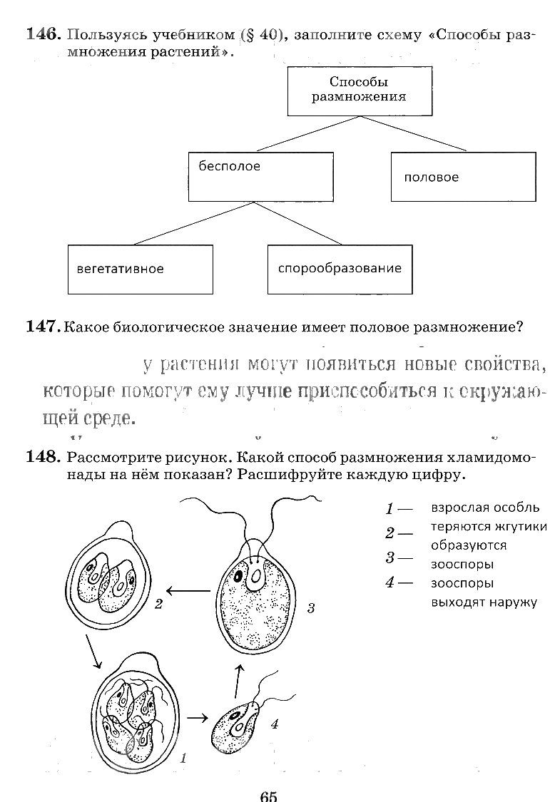 гдз 6 класс рабочая тетрадь страница 65 биология Пасечник, Снисаренко