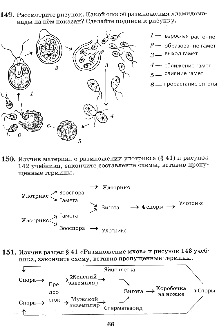 гдз 6 класс рабочая тетрадь страница 66 биология Пасечник, Снисаренко