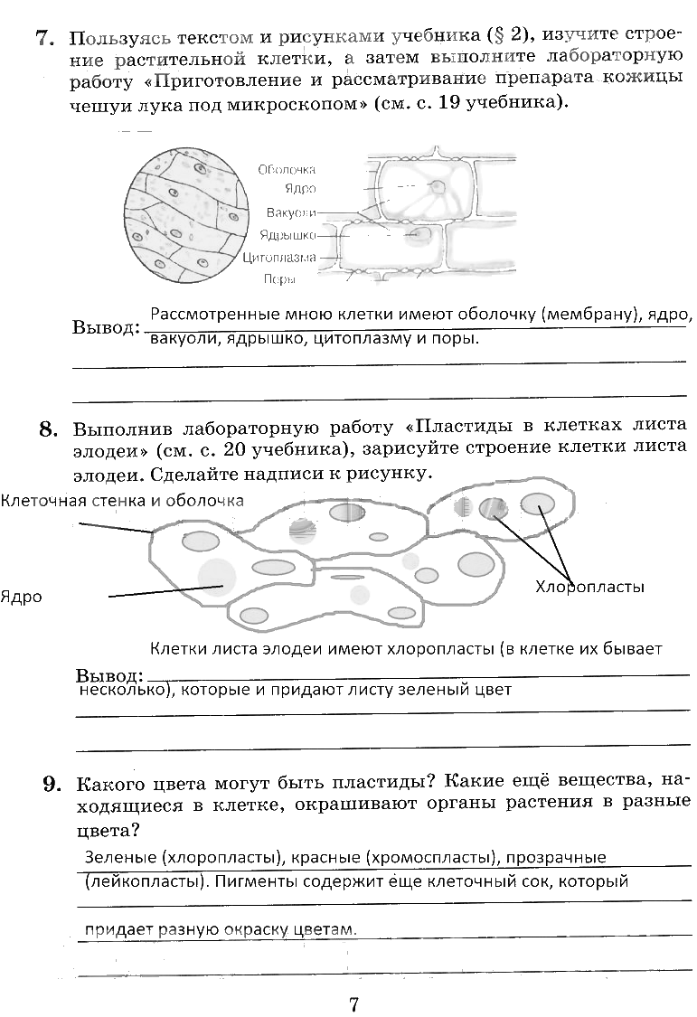 гдз 6 класс рабочая тетрадь страница 7 биология Пасечник, Снисаренко