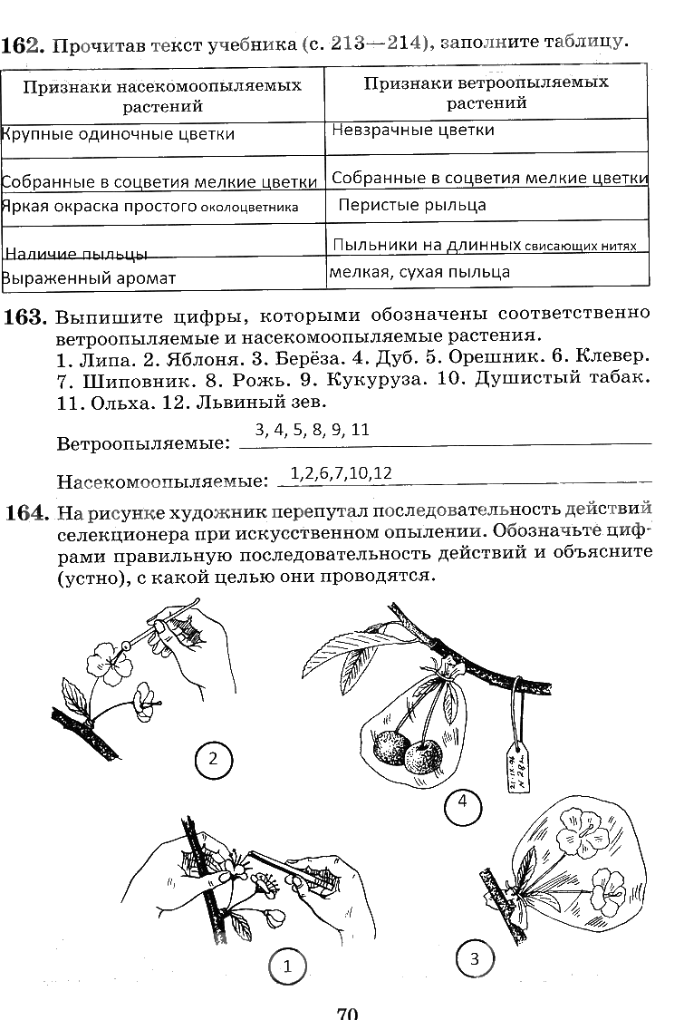 гдз 6 класс рабочая тетрадь страница 70 биология Пасечник, Снисаренко