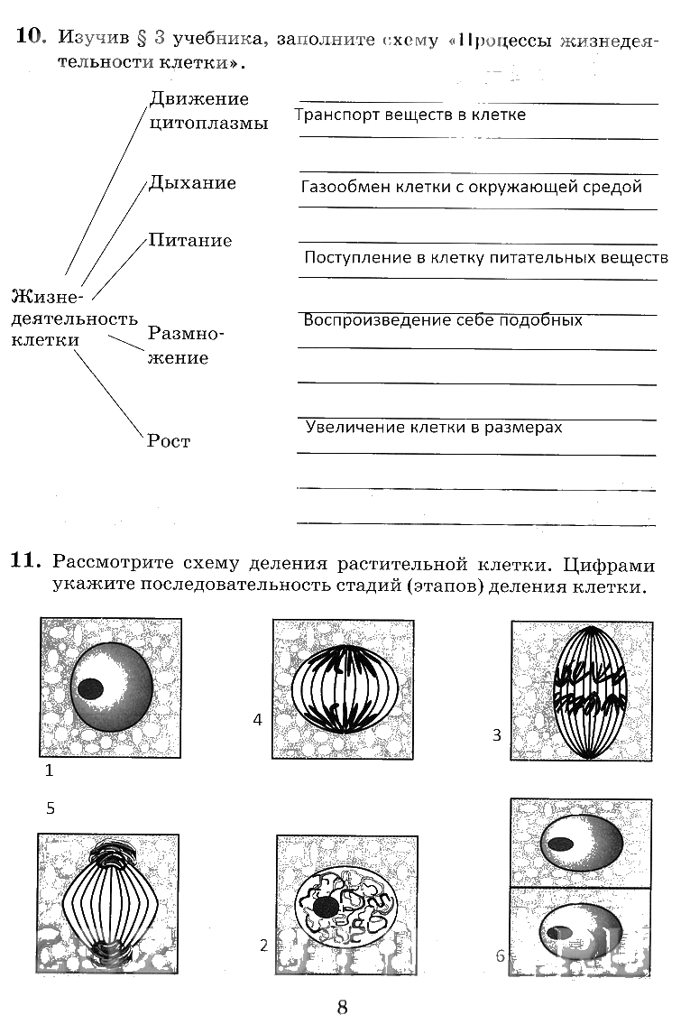 гдз 6 класс рабочая тетрадь страница 8 биология Пасечник, Снисаренко