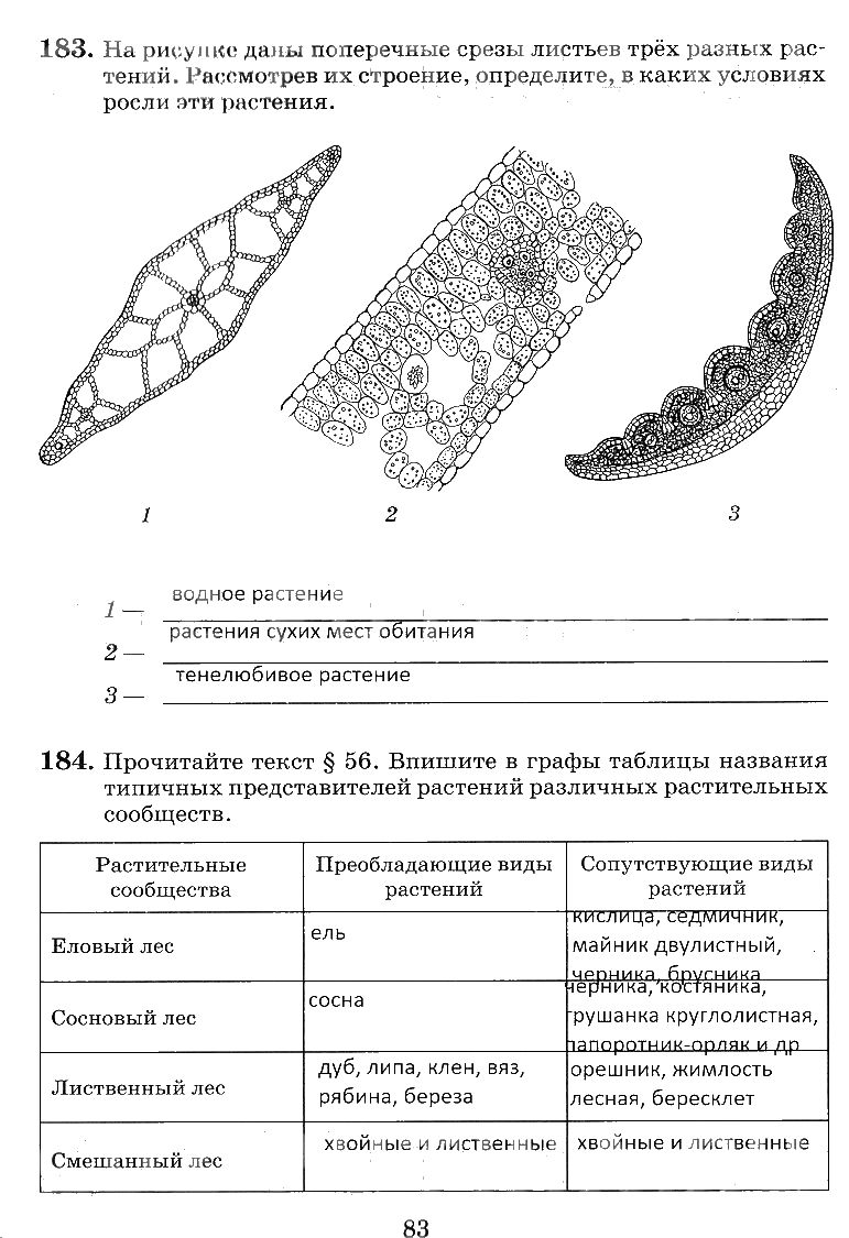 гдз 6 класс рабочая тетрадь страница 83 биология Пасечник, Снисаренко