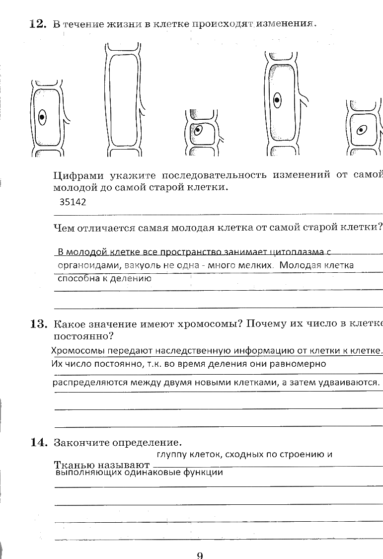гдз 6 класс рабочая тетрадь страница 9 биология Пасечник, Снисаренко