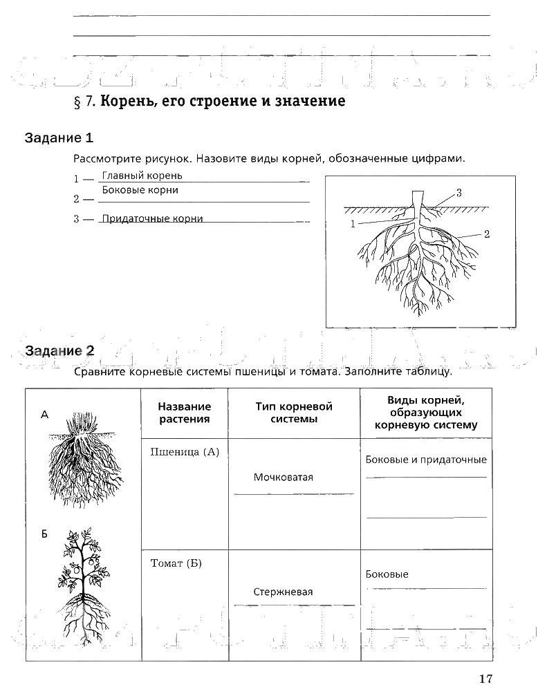 гдз 6 класс рабочая тетрадь часть 1 страница 17 биология Пономарева, Корнилова