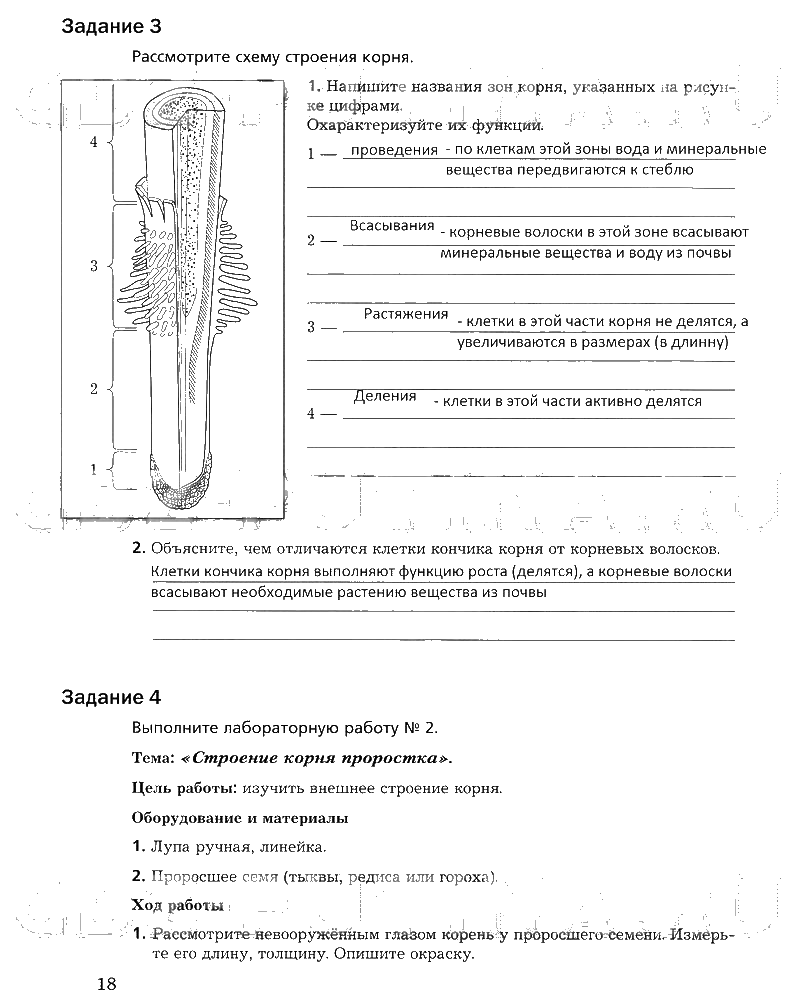 гдз 6 класс рабочая тетрадь часть 1 страница 18 биология Пономарева, Корнилова