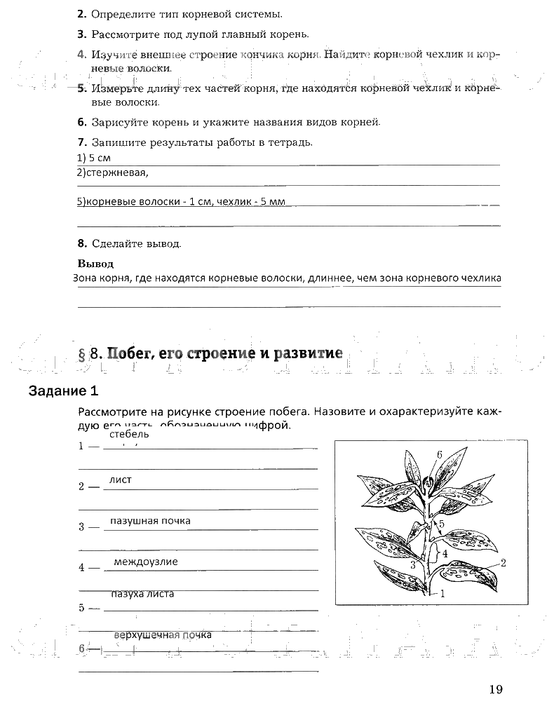 гдз 6 класс рабочая тетрадь часть 1 страница 19 биология Пономарева, Корнилова