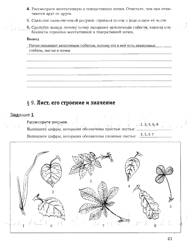 гдз 6 класс рабочая тетрадь часть 1 страница 21 биология Пономарева, Корнилова