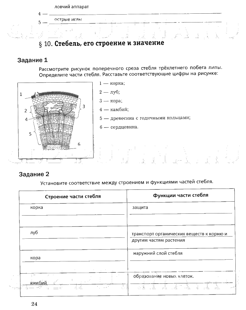 гдз 6 класс рабочая тетрадь часть 1 страница 24 биология Пономарева, Корнилова