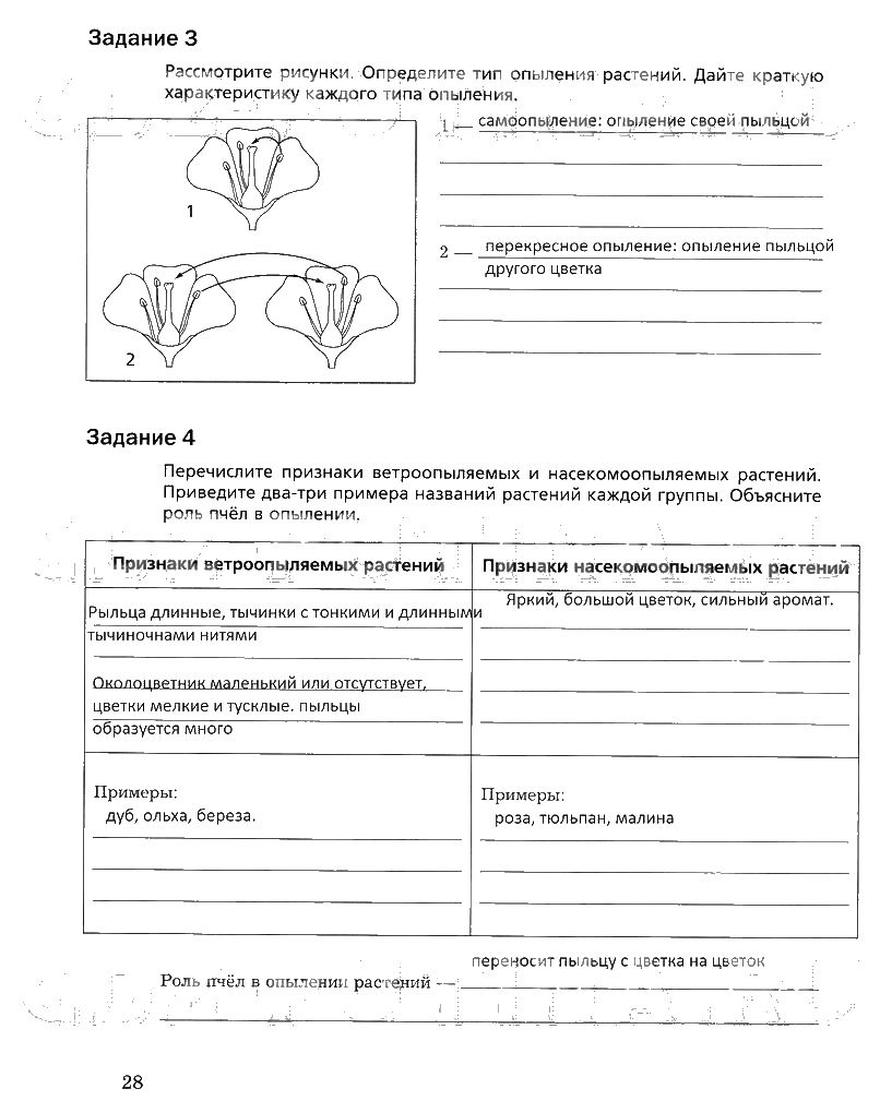 гдз 6 класс рабочая тетрадь часть 1 страница 28 биология Пономарева, Корнилова