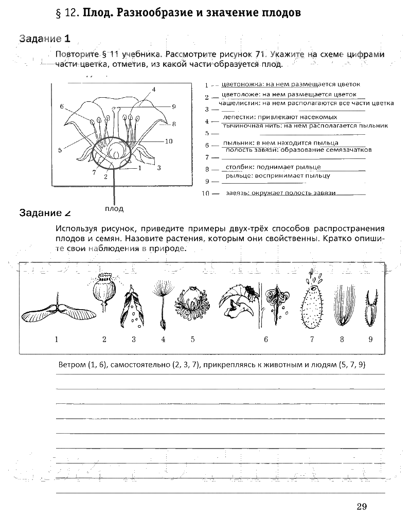 гдз 6 класс рабочая тетрадь часть 1 страница 29 биология Пономарева, Корнилова