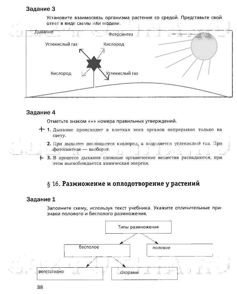 гдз 6 класс рабочая тетрадь часть 1 страница 38 биология Пономарева, Корнилова
