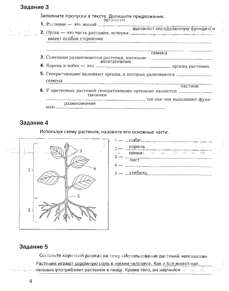 гдз 6 класс рабочая тетрадь часть 1 страница 4 биология Пономарева, Корнилова